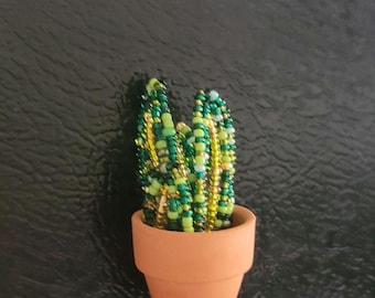 Tiny Snake Plant Fridge Magnet