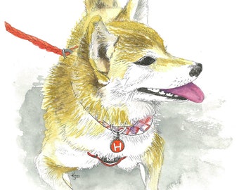 Illustration of a Japanese dog: Shiba Inu, Shiba Ken