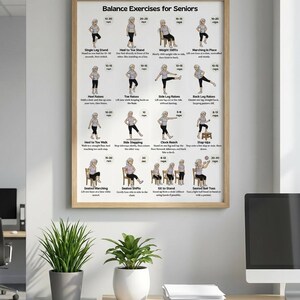 May include: A framed poster titled "Balance Exercises for Seniors" with illustrations of various exercises. The poster is in a light brown wooden frame and is displayed in an office setting. Two potted plants sit on a desk in front of the poster.