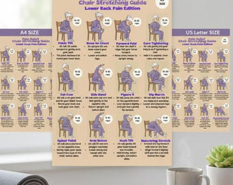 Chair Stretching Guide for Lower Back Pain | Senior Exercises (PDF)