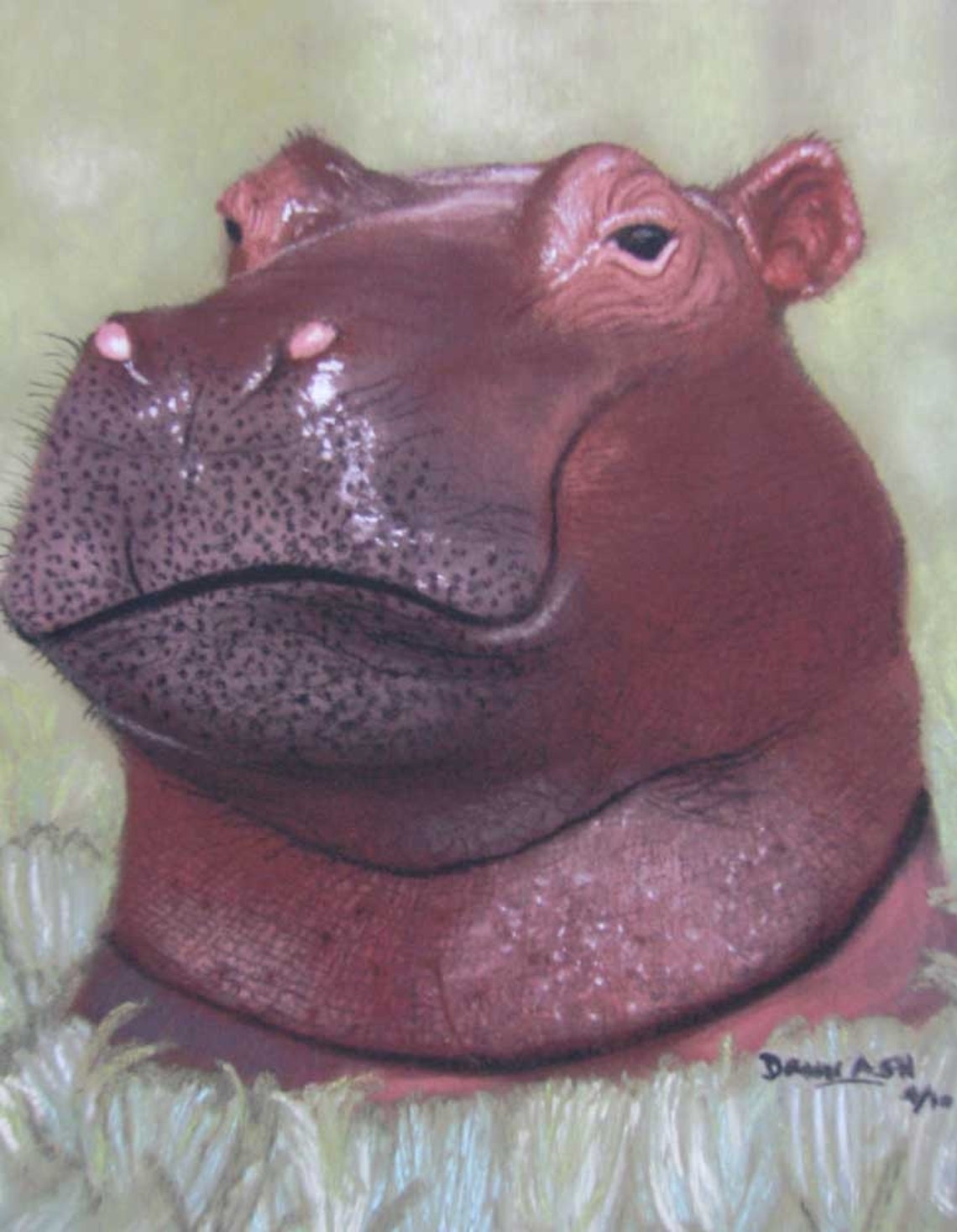 Hippopotamus Painting Wildlife Art Fine Art Giclee Print Etsy