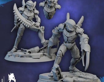 Graem'Thal (« Le briseur de chair ») - Modèles proxy de science-fiction sur table elfes de l'espace