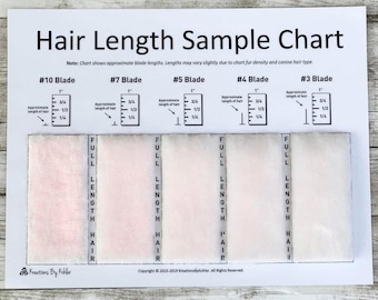 Shave Blade Sample Chart For Dog Grooming Salons