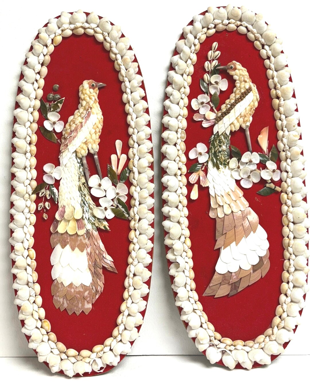 Peacock Inner Shell Shell Peacock Wall Plaques VINTAGE Souvenir Manila Philippines - Etsy