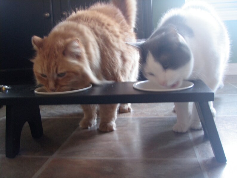 Raised / Elevated Cat Feeding Station 3 Bowl | Etsy
