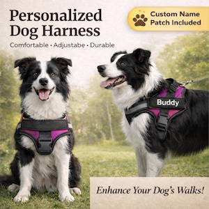 Puede incluir: Dos perros blancos y negros con arneses personalizados magenta y negros. Los arneses tienen el texto "Buddy". La imagen incluye el texto "Arnés para perros personalizado" y "¡Mejora los paseos de tu perro!"