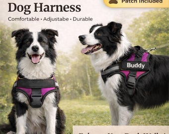 Personalisiertes Hundegeschirr mit Name, verstellbares Zughundegeschirr, bequemes Welpengeschirr für kleine und große Hunde, Haustier-Denkmal.