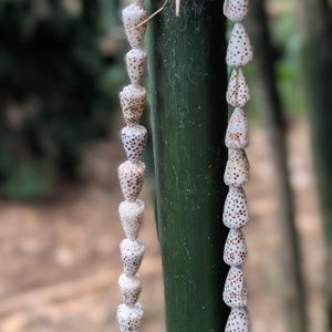 May include: A necklace made of small, cone-shaped seashells with brown spots. The shells are strung together, creating a delicate, natural jewelry piece. The necklace is displayed against a green bamboo stalk.
