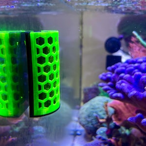 Könnte beinhalten: Ein leuchtend grüner Aquarienreiniger mit Wabenmuster. Der Reiniger besteht aus Kunststoff und hat einen schwarzen Rand. Der Reiniger ist für die Reinigung des Inneren eines Aquariums konzipiert.