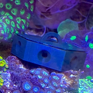 Könnte beinhalten: Eine dunkelblaue, sechseckige, 3D-gedruckte Futterbox aus Kunststoff mit einem mittigen Griff auf dem Deckel und kreisförmigen Öffnungen an den Seiten, die in einem Aquarium von verschiedenen bunten Korallenpolypen umgeben ist.