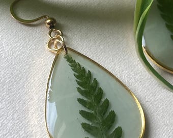 Pode incluir: Brincos em forma de gota com moldura dourada. Cada brinco apresenta uma folha de feto verde preservada em resina transparente sobre um fundo verde pálido. Os brincos têm ganchos dourados.