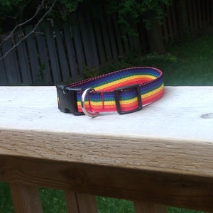 Rainbow  Dog Collar