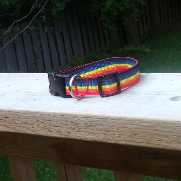Rainbow Dog Collar