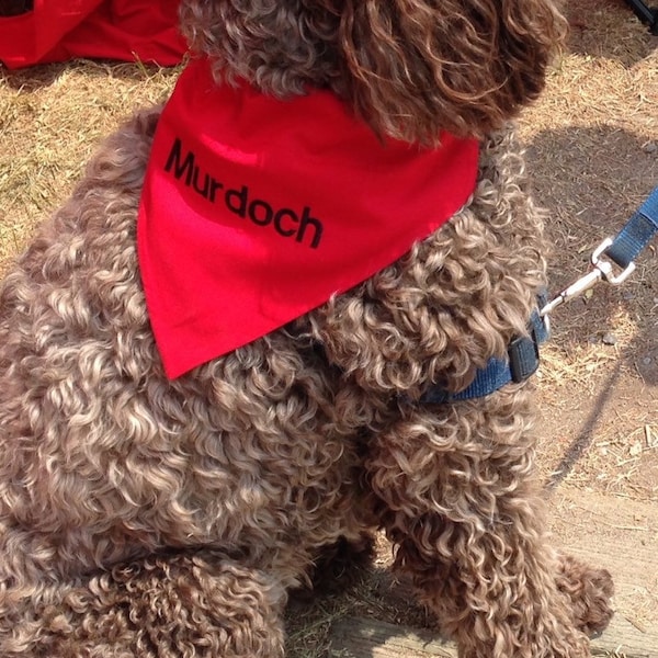 Personalized Dog Bandana