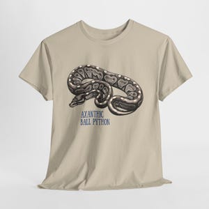 Dark Ball Python Morphs