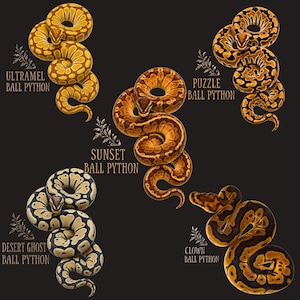 Ball Python Morph Shirt, Ultramel Puzzle Sunset Desert Ghost Clown Ball Python Tee, Snake Keeper Gift, Reptile Lover Shirt