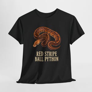 Red Stripe, Highway, Pinstripe, Spider, Champagne Ball Python