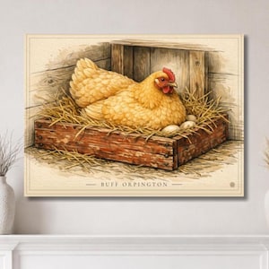 May include: A framed watercolor print of a Buff Orpington hen in a wooden nest box. The hen is a golden yellow color with a red comb and wattle. The nest contains several eggs and straw. The text "BUFF ORPINGTON" is at the bottom.
