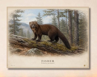 Fisher Poster, Vintage Wildlife Plate Print, Woodland Animal Wall Art, Rustic Cabin Lodge Decor, Naturalist Forest Artwork
