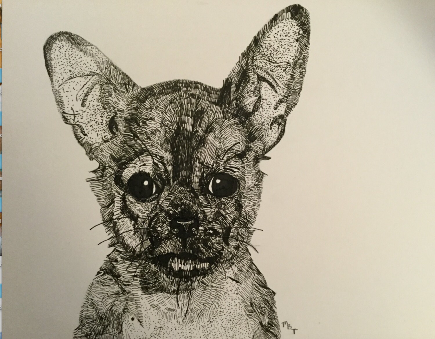 Custom Listing for 8"x10" Pen and Ink Pet Portrait - Etsy