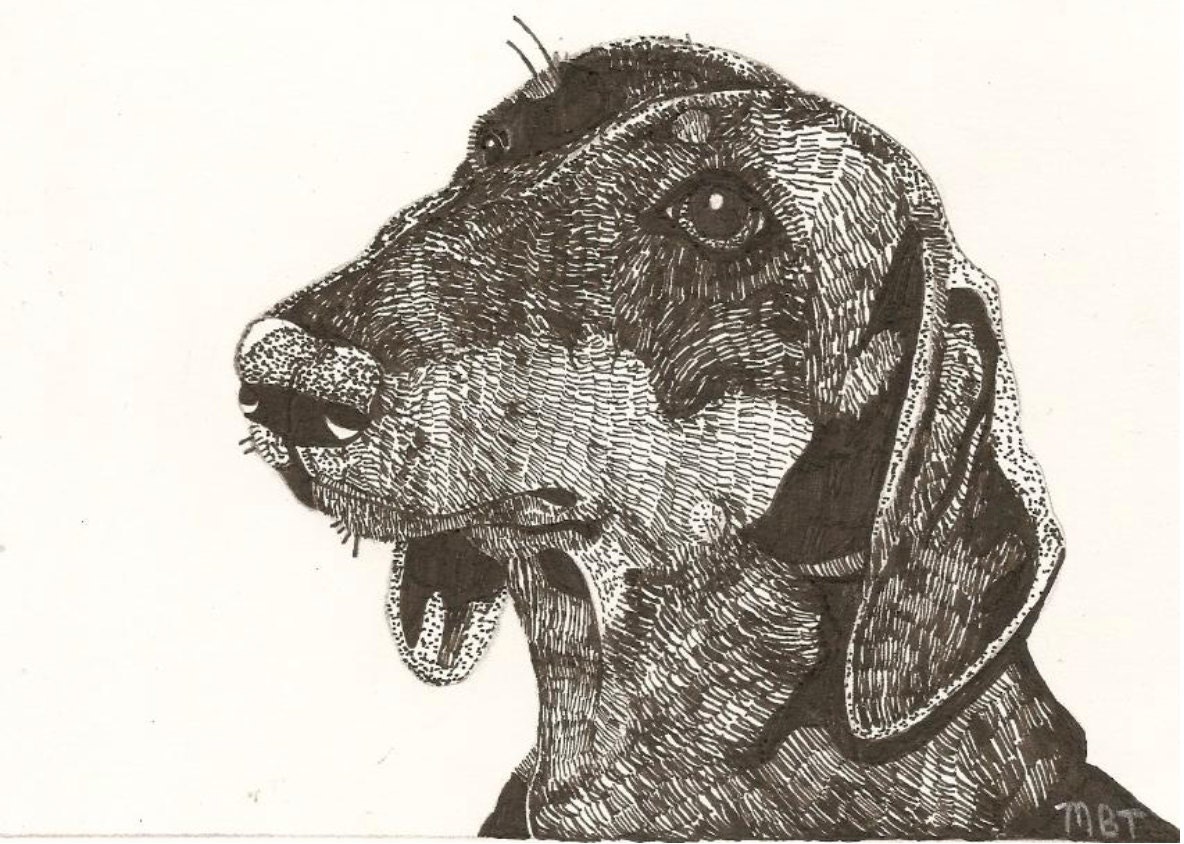 Custom Listing for 8"x10" Pen and Ink Pet Portrait - Etsy