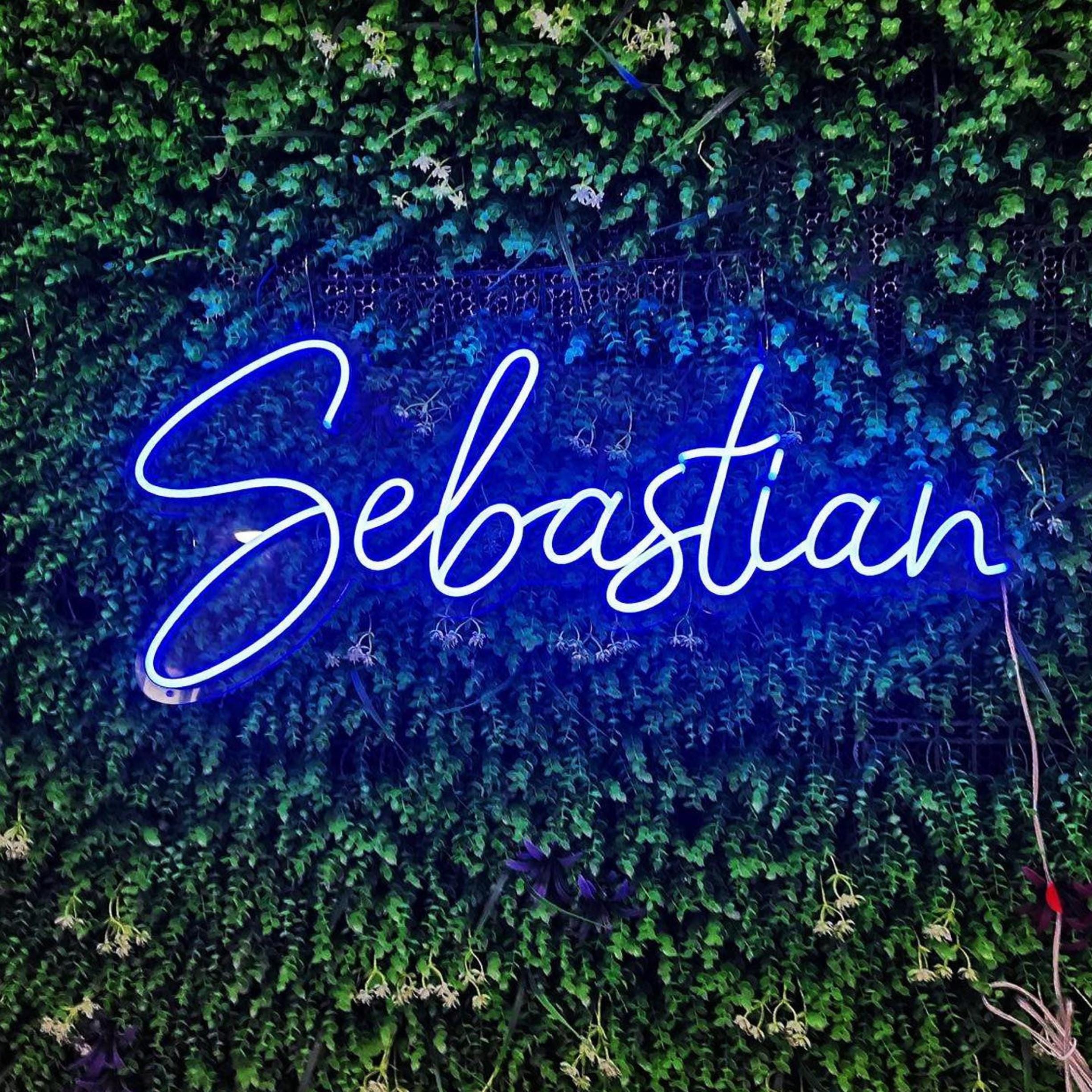 Custom Neon Sign,last Name Neon Sign,led Neon Signs,neon Sign Light ...