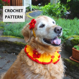 May include: A golden retriever dog wearing a yellow and red crocheted dog collar with a flower on the collar and a flower headband. CROCHET PATTERN text is visible in the image.