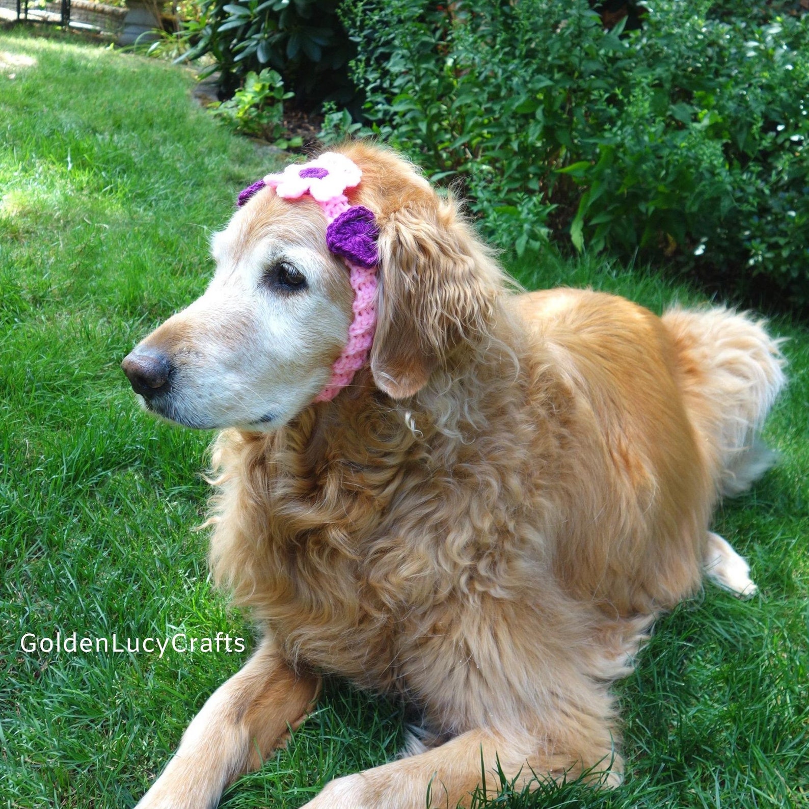 CROCHET PATTERN Dog Headband DIY Pet Accessories Pet Gift Etsy