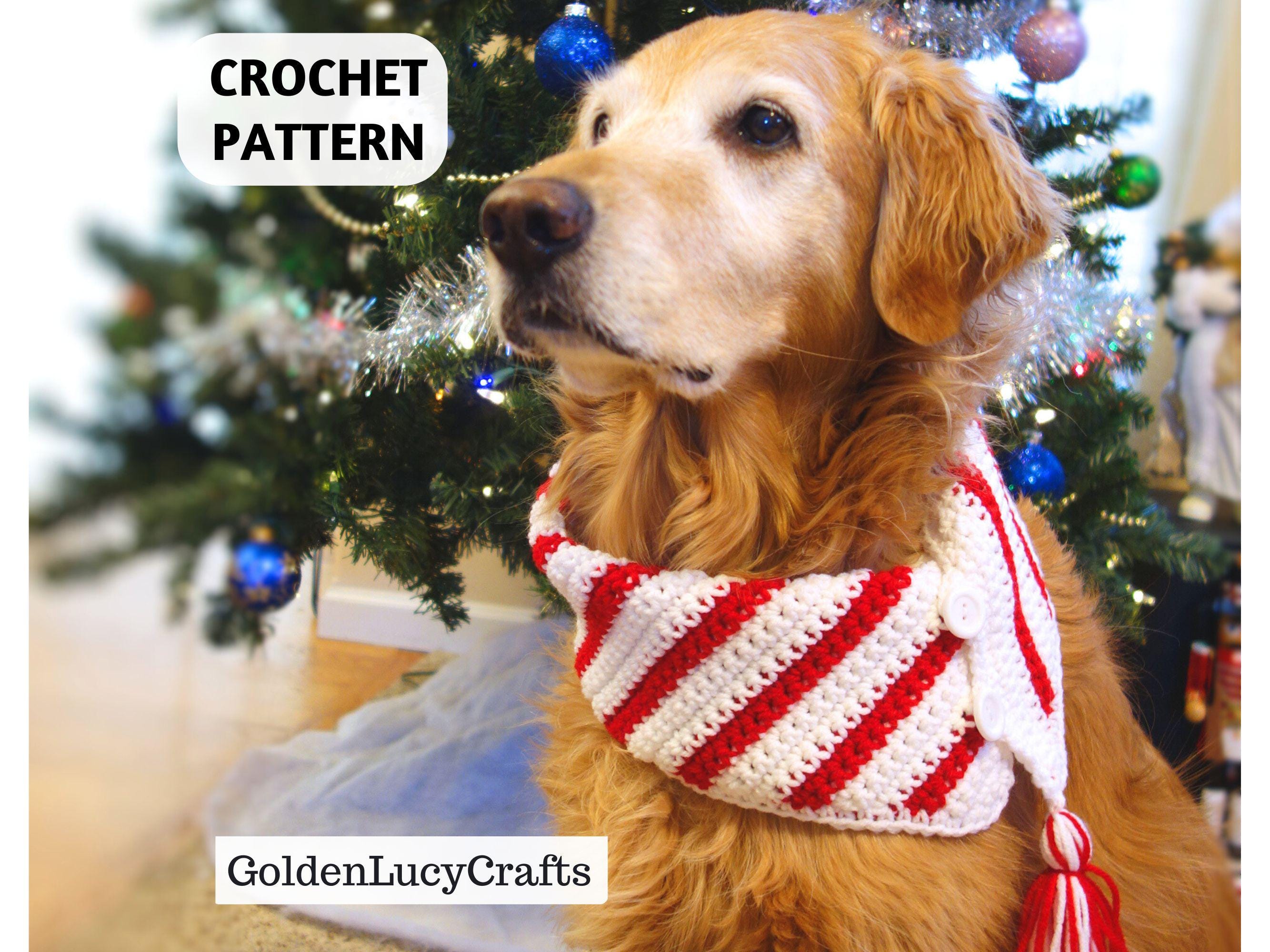 Buy Christmas Scarf Online In India India