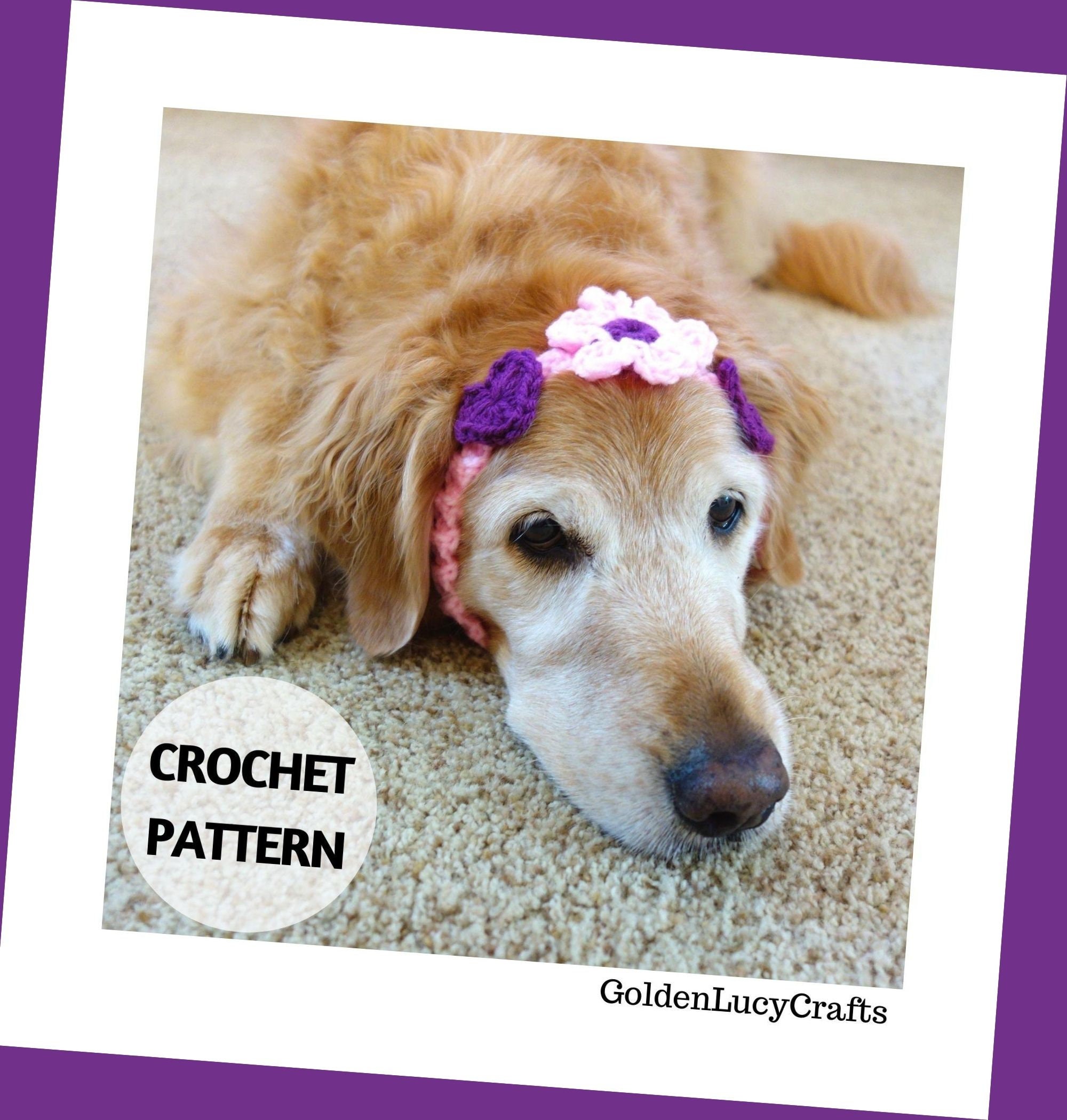 CROCHET PATTERN Dog Headband DIY Pet Accessories Etsy