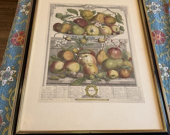 Vintage Framed Botanical Fruit Print March 1732 Robert Furber Style Wall Art