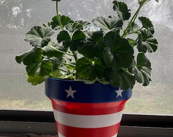 Stars and Stripes All American Plant Pot with drainage and saucer - 6 inches tall