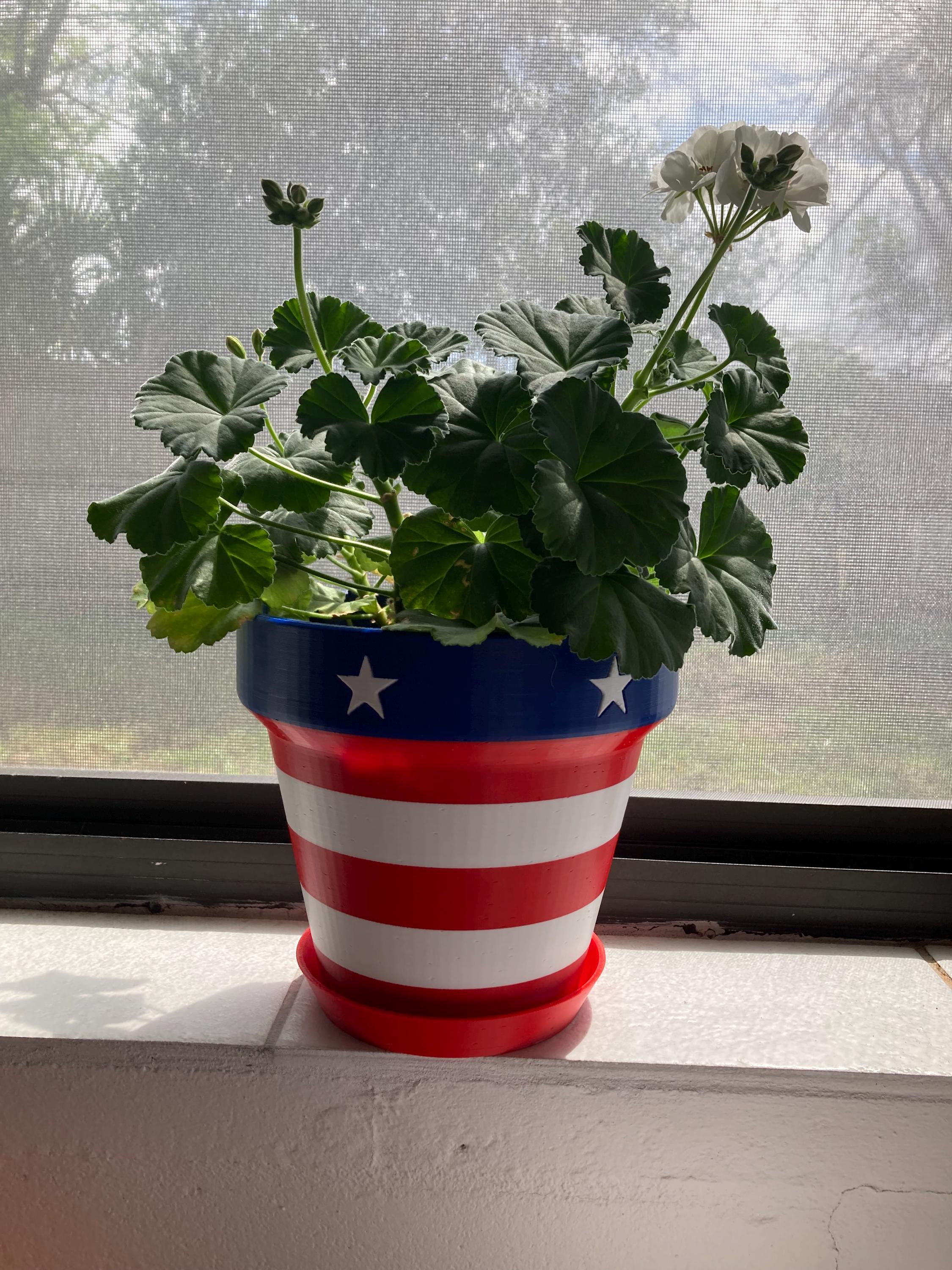 6 Inch Planter - Etsy