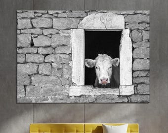 Puede incluir: Impresión en lienzo en blanco y negro de una vaca mirando por una ventana de piedra. La cara de la vaca es visible, con una nariz rosada y ojos oscuros. La ventana está enmarcada por piedra blanca, en una pared de piedra gris.
