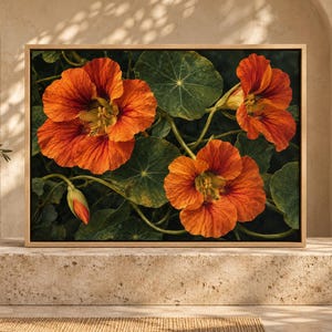 Könnte beinhalten: Ein rechteckiger Wandkunstdruck in einem hellen Holzrahmen mit einer botanischen Illustration von drei leuchtend orangefarbenen Kapuzinerkressen mit dunkelroten Zentren, grünen runden Blättern und einer einzelnen geschlossenen Blütenknospe.