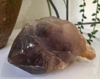 Punta de cristal de cuarzo ahumado / 1249 g (2,75 libras) Piedra curativa natural para conexión a tierra, protección y meditación