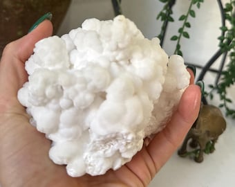 Racimo de calcita aragonita blanca / 610 g (1,34 libras) Cristal curativo para la paz, la claridad y la limpieza energética / Decoración mineral natural