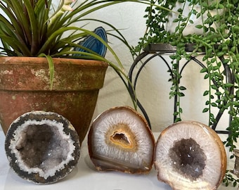 ¡Solo queda la C! Geoda de cristal natural / Mitades de geoda de cuarzo en bruto