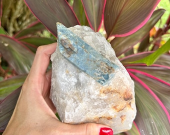 Cianita azul en cuarzo: espécimen de cristal natural en bruto (1,8 kg), mineral de colección de gran tamaño, piedra curativa y de exhibición.