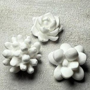 Puede incluir: Tres objetos decorativos blancos con forma de suculentas. Uno se asemeja a una rosa, otro a un grupo espinoso y el tercero a una flor redondeada. Los objetos están dispuestos sobre una superficie texturizada de color gris claro.