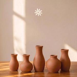 Puede incluir: Una colección de cinco jarrones de terracota de diversas formas y tamaños, incluyendo siluetas redondeadas y esbeltas. Cada jarrón presenta un acabado mate, liso y de color marrón rojizo. Un pequeño icono blanco de una flor de ocho pétalos está centrado encima.