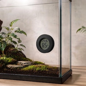 Op de afbeelding: Een rechthoekig glazen terrarium met donkere aarde, groen mos, een stuk drijfhout en kleine bladplanten. Een ronde zwarte digitale thermometer en hygrometer is aan de voorste glasplaat bevestigd en geeft 20,8 graden en 85 procent aan.