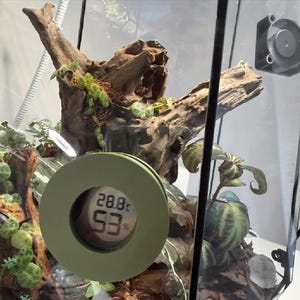 Magnetic hygrometer for terrarium front glass