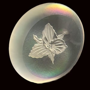 May include: A clear, oval glass paperweight featuring a raised floral design. The edges of the paperweight have an iridescent sheen, displaying a rainbow effect. The background is black, highlighting the object's details.