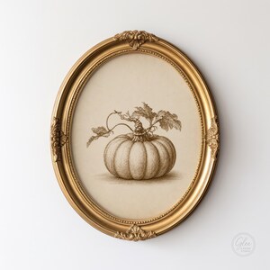 May include: An oval gold frame with ornate detailing containing a detailed brown ink drawing of a single pumpkin with leaves and a vine on a cream-colored background. The bottom right corner features a small circular logo reading Glee & Paper Studio.