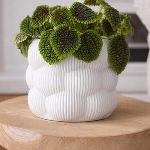 Bubble Planter with Hidden Drip Tray – Modern 3D Printed Succulent Pot, Minimalist Plant Pot, Unique Home Decor