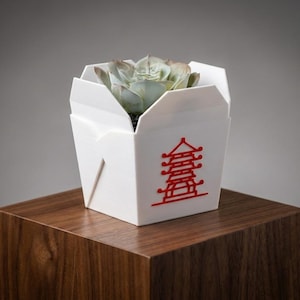 Könnte beinhalten: Ein weißer Pflanztopf im Origami-Stil in Form einer Take-Away-Box mit rotem Pagoden-Design. Er enthält eine Sukkulente mit hellgrünen Blättern. Der Topf steht auf einem dunklen Holzblock.