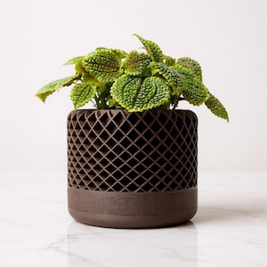 Lattice Planter with Hidden Drip Tray | 3D Printed Modern Plant Pot