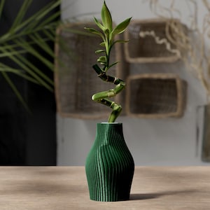 Könnte beinhalten: Eine dunkelgrüne Vase mit einem strukturierten Design aus vertikalen Linien hält einen sich windenden Bambusstiel mit grünen Blättern. Die Vase steht auf einer hellbraunen Holzoberfläche. Der Hintergrund umfasst gewebte Wanddekoration und eine Vase mit getrockneten Pflanzen.