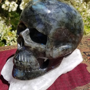 Finely Carved Labradorite Skull with Blue Fire Full Size Weighs Over 10 Pounds image 1